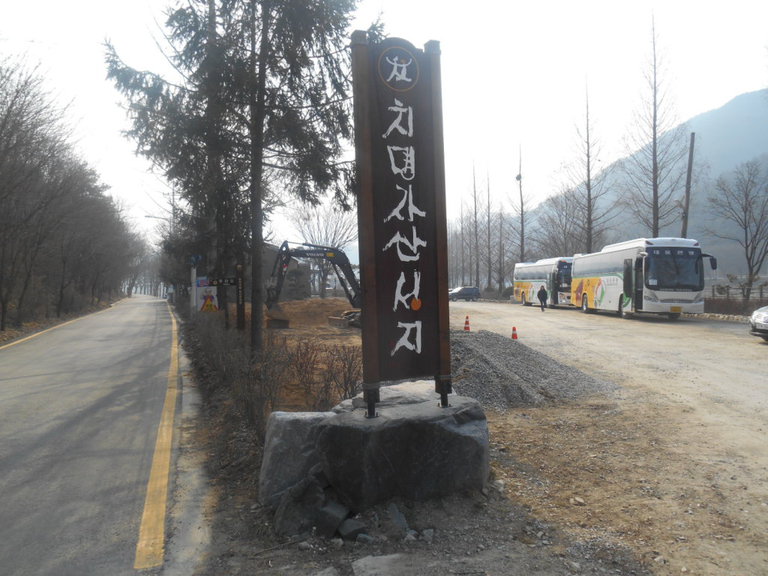 치명자산