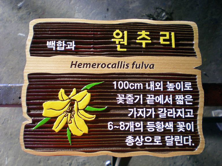 수목표찰