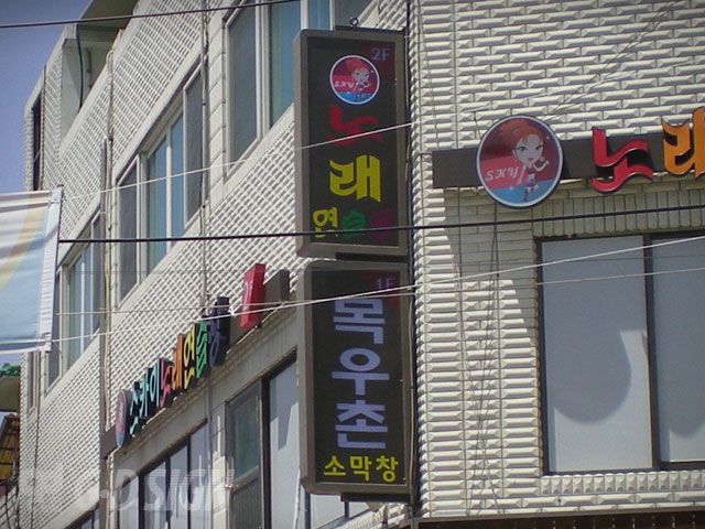 노송촌-돌출