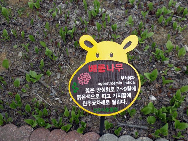 수목표찰
