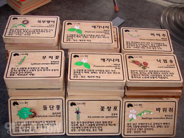 수목표찰