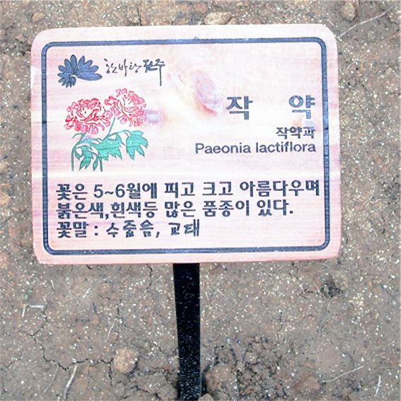 수목표찰